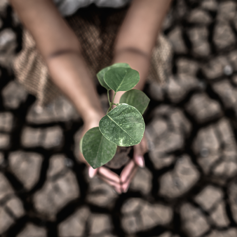 Día Mundial del Clima y la Adaptación al Cambio Climático