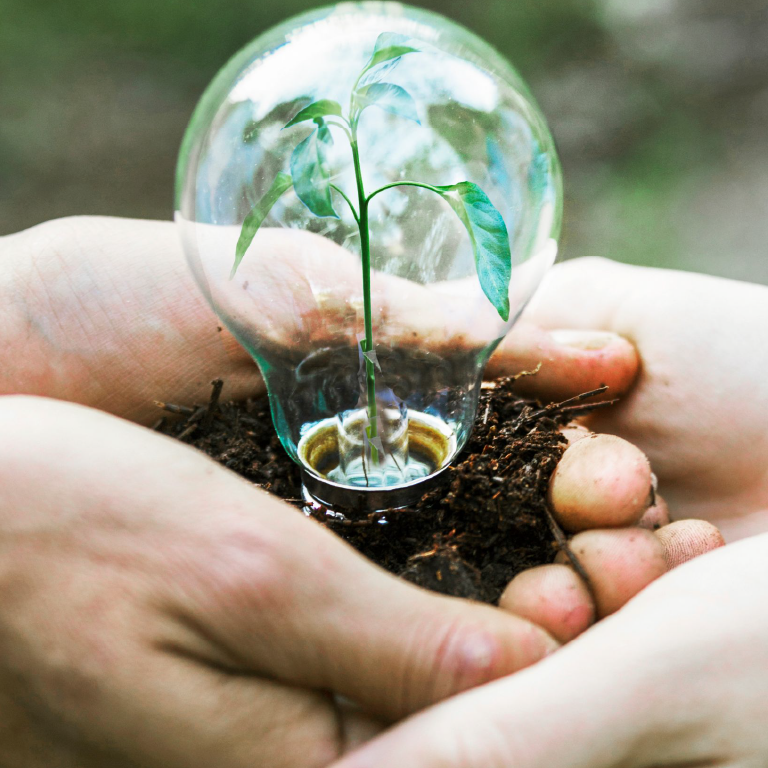 Reciclaje y Gestión de Residuos