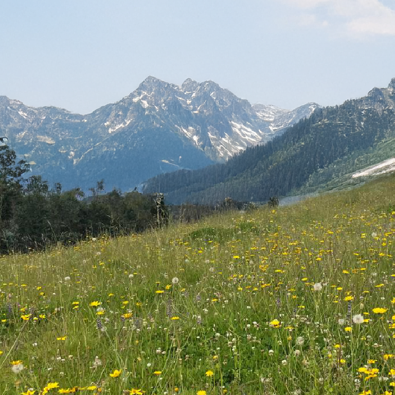 Anddes reafirma su compromiso con la biodiversidad