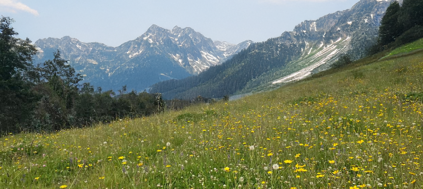 Anddes reafirma su compromiso con la biodiversidad